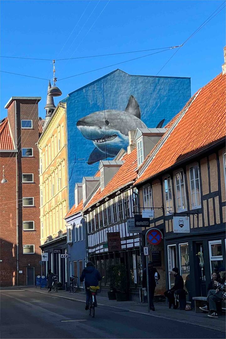 Charming apartment in the center of Aarhus! Condominiums for Rent in