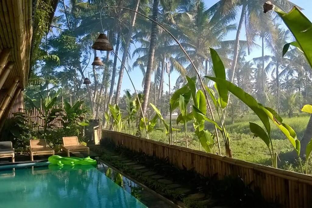 You'll be amazed at the views you can enjoy being nestled back near to the rice fields.