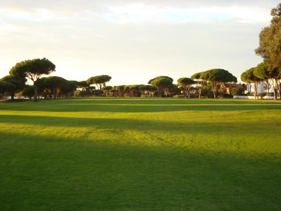 Campo de golf