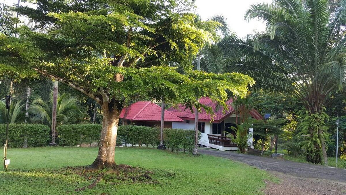A private house is set amidst lush greenery, with a large tree providing shade. The house features a red roof and is surrounded by well-manicured grass and tropical plants. A pathway leads to the entrance, creating an inviting approach.