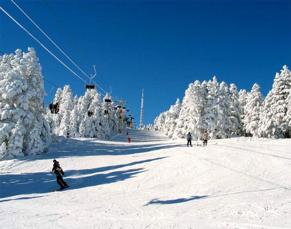Snow-covered slopes are visible, lined with tall pine trees blanketed in white. A ski lift ascends on one side, while skiers navigate the powdery terrain. A clear blue sky provides a vibrant backdrop to the winter scene.