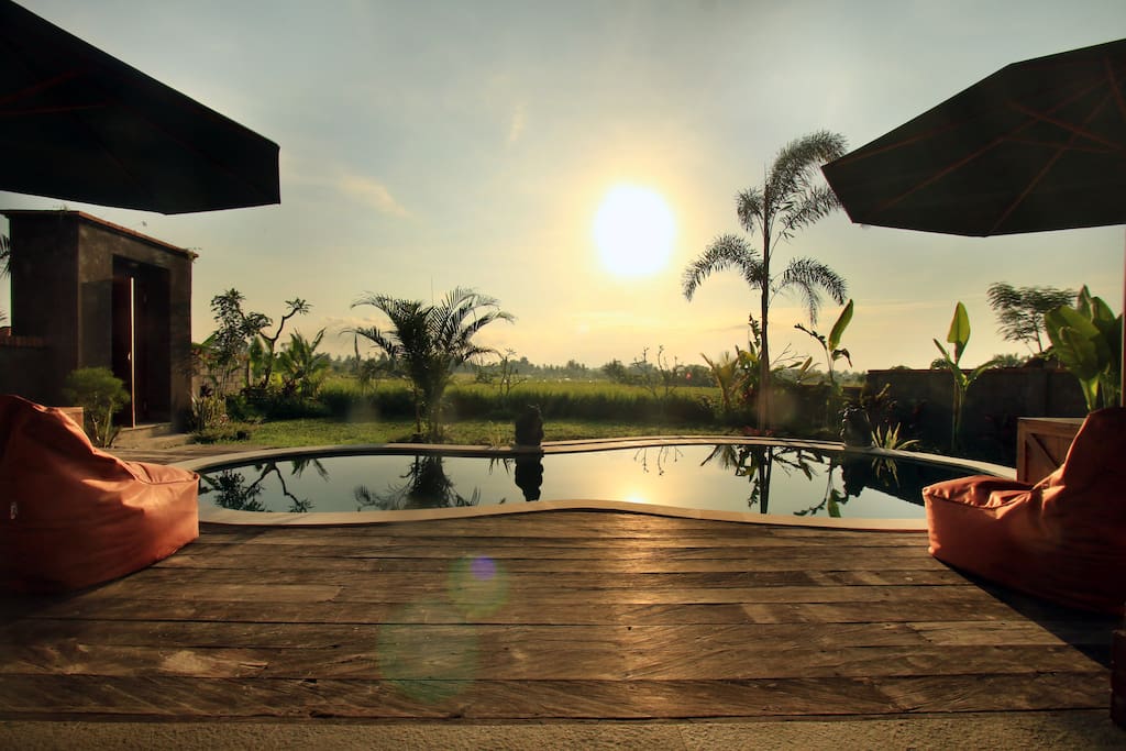 Sunrise, by the swimming pool.