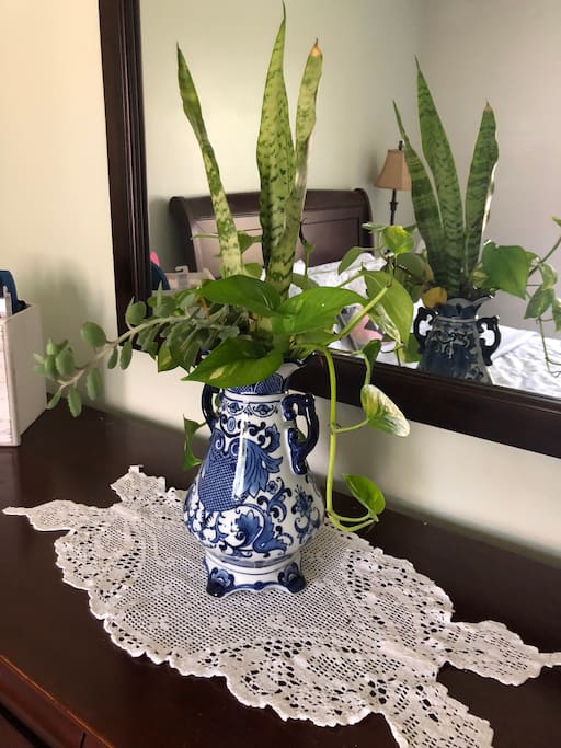 I like to decorate with flowers and live plants