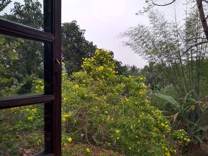 View from master bedroom