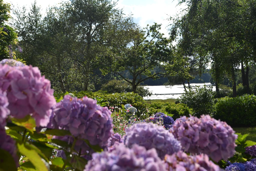 Propriété arborée, très fleurie
