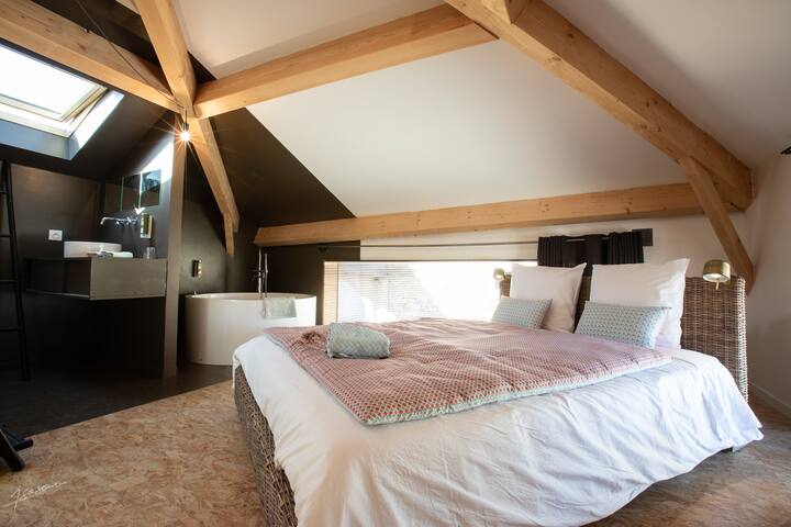 suite baco