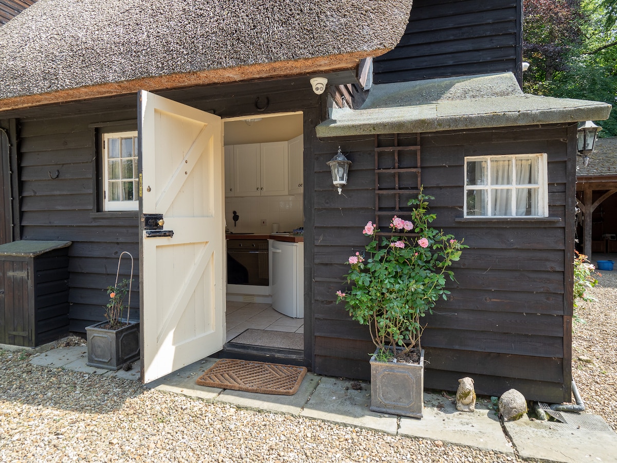 The entrance to the thatched cottage is framed by a well-maintained outdoor area. A light-colored door opens into the inviting interior, while flowering plants and a decorative lantern enhance the charming exterior. The ground is covered with gravel, leading to additional garden features.