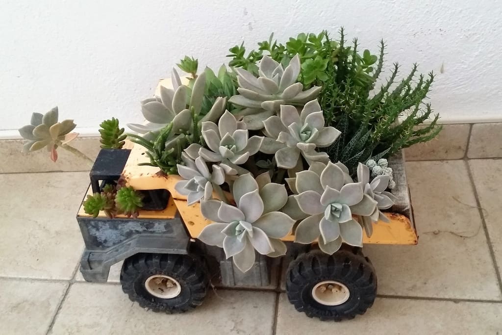 Succulent truck