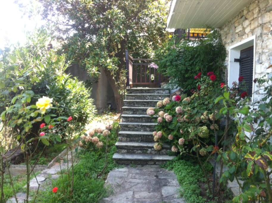 Access to the house from the lush yard