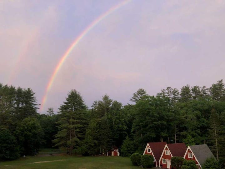 Convenient to MTNS and LAKES Sunny remodeled 2 BR Apartments for Rent