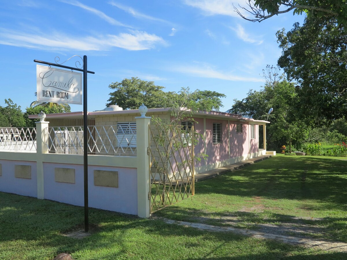 A single-story building with a light pink exterior is featured, surrounded by lush green grass and trees. A sign indicating 'Rental Room' is prominently displayed. Clear blue skies provide a bright backdrop, enhancing the inviting setting of the property.