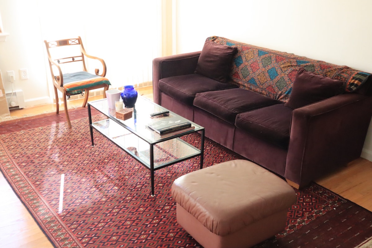 A comfortable living area features a dark sofa adorned with colorful cushions, paired with a simple armchair. A glass coffee table displays several books and a decorative blue vase. A patterned area rug adds warmth, and natural light fills the space through a nearby window.
