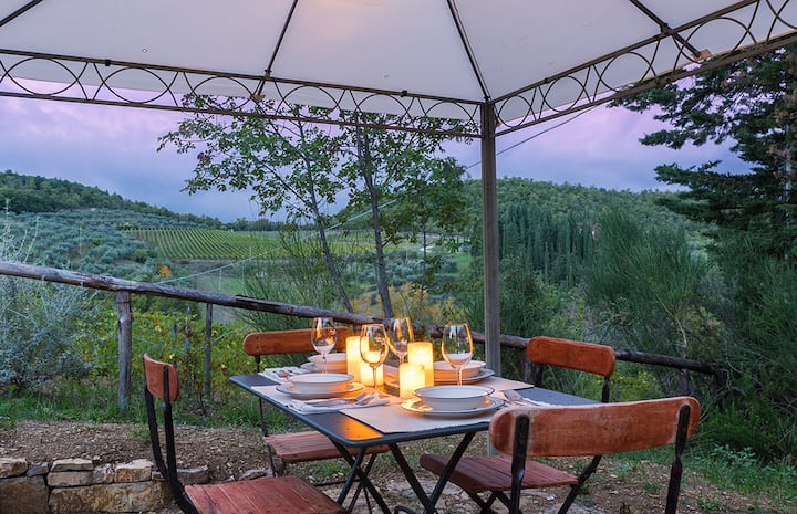 Ginestra Apartment, Into The Vineyard - Greve in Chianti