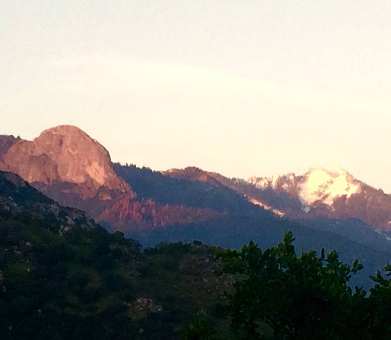 View from the home