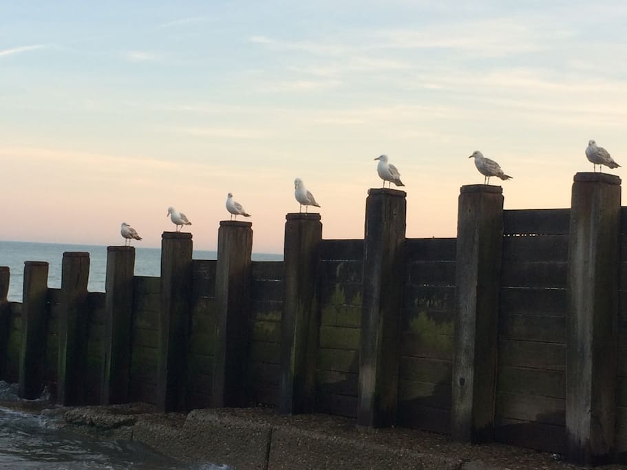 Sea Side attractions