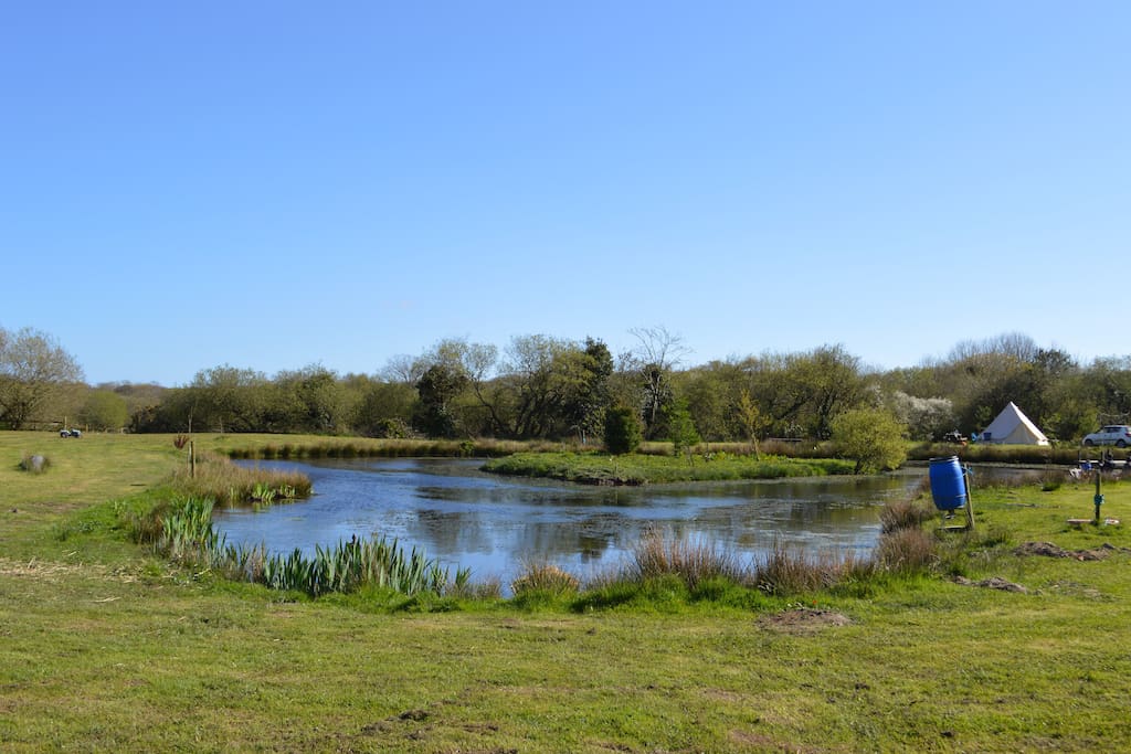 Main camping field with a small lake