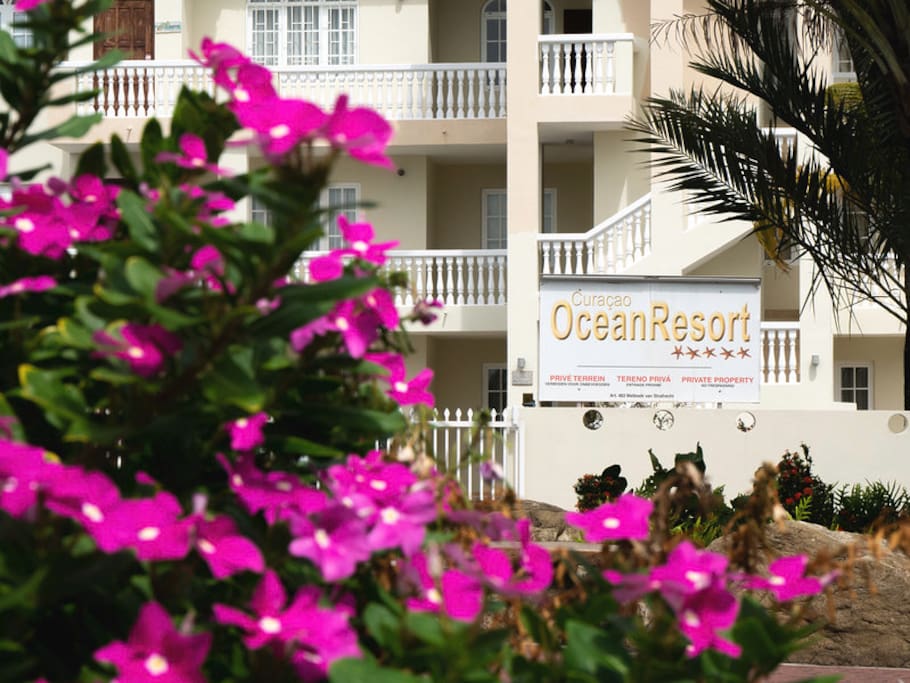 Entrance to Ocean Resort