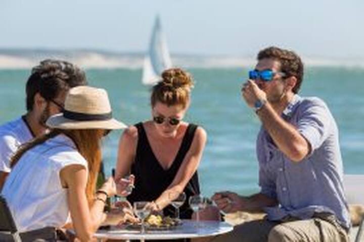 Charmante villa entre Bordeaux & le Cap Ferret. gallery image 2