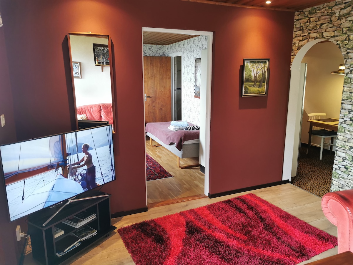 卧室和厨房入口
带You Tube的智能电视