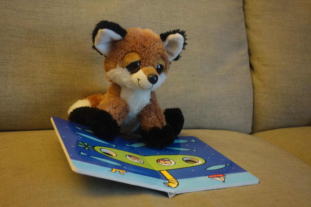 Mr. Fox, reading a book. Lots of toys and games for your family to share.