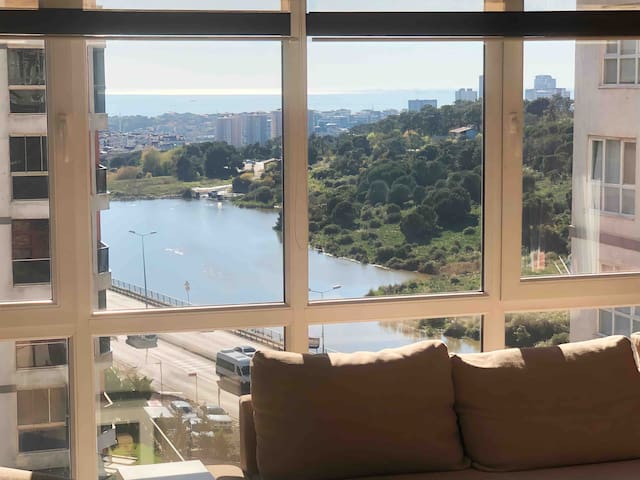 Sea, lake and forest views gallery image 2