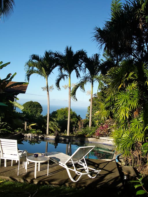Pool and view of Pacific Ocean to the west. Great sunsets!