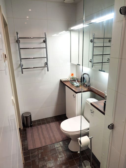 Bathroom - Sink & Toilet