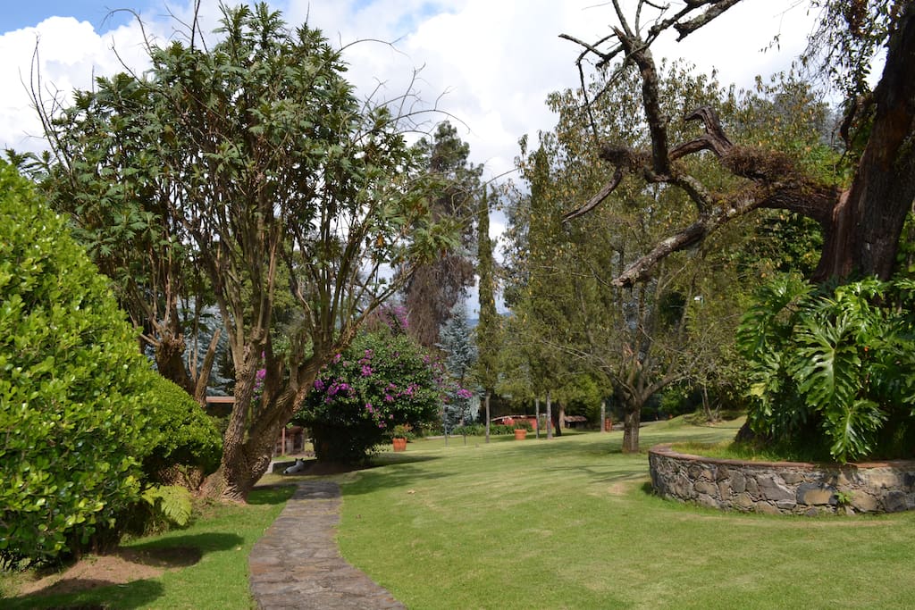 Jardines