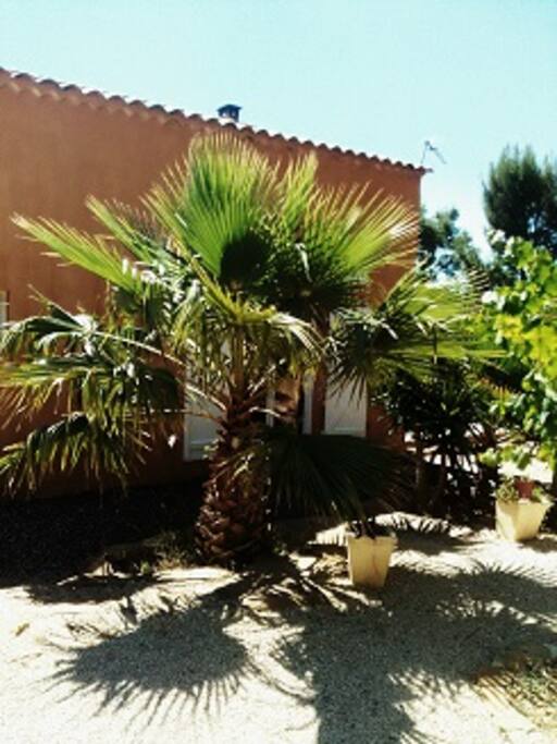 une partie du jardin 504 m2 fermé par grand portail