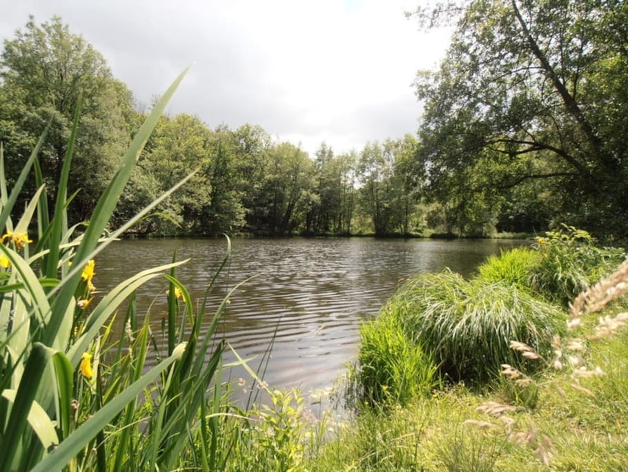 The Lake