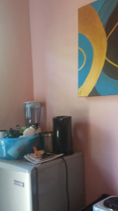 Fridge and few amenities, kettle blender...