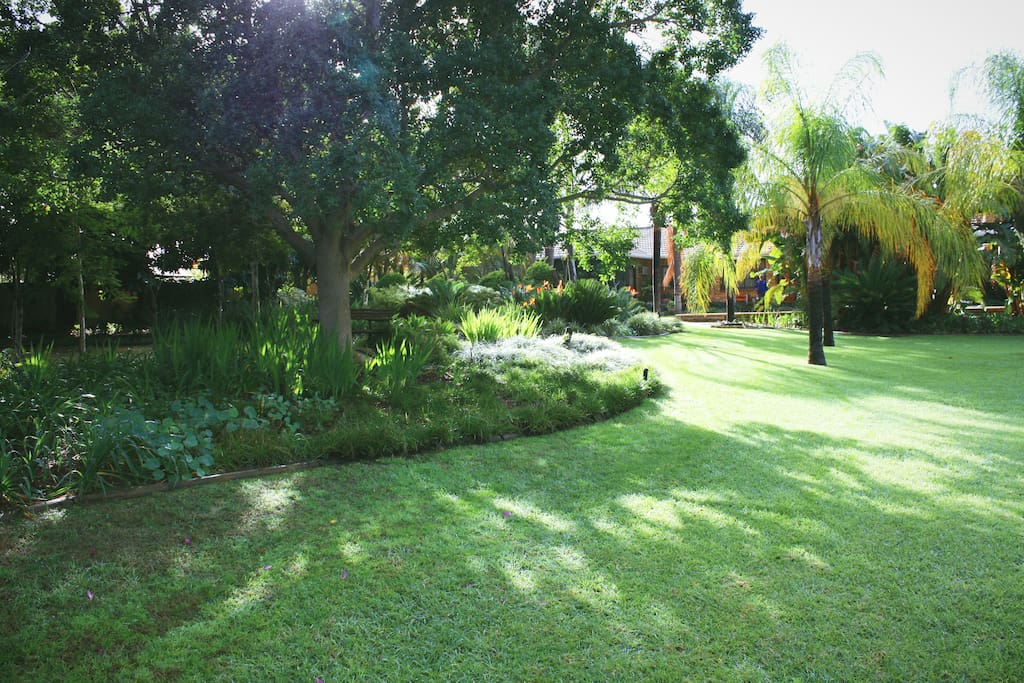 Lovely and Lush Garden