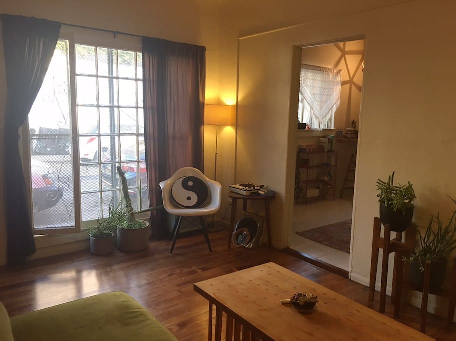 Large living room window lets just the right amount of day into the space