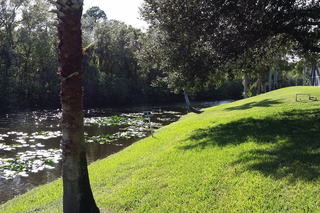 Waterway and preserve behind the home, St Johns waterway and preserve.