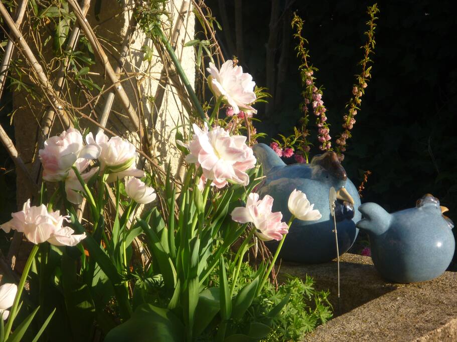 jardin