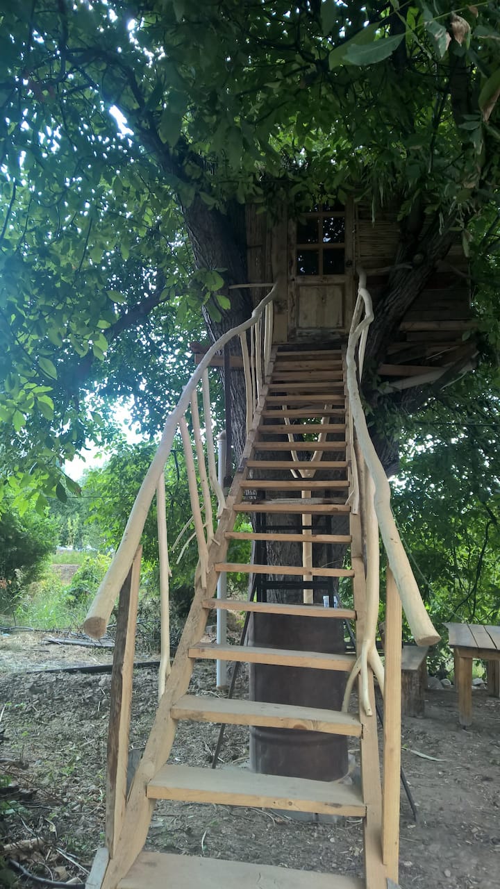 домик на дереве — Домики на деревьях в аренду в г. Areni, Vayots Dzor  Province, Армения - Airbnb