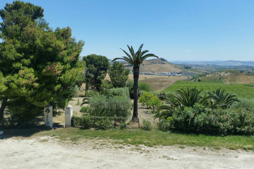 View from the balcony