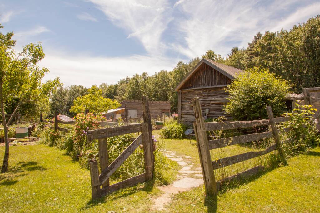 Horses, barn,Farm structures and cabin in our backyard!