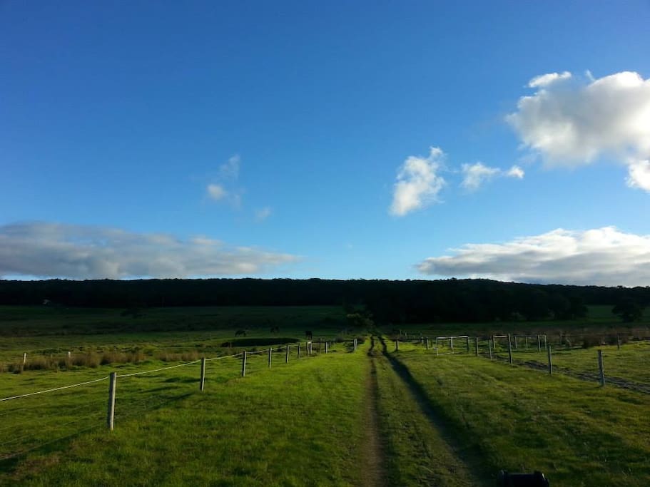 lots of open space!