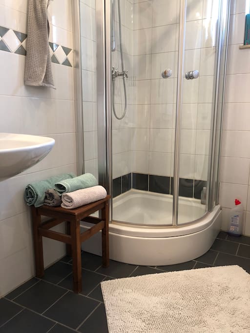 Private guest bathroom