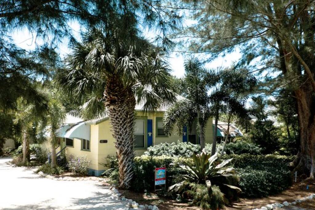 Welcome to Whispering Pines!