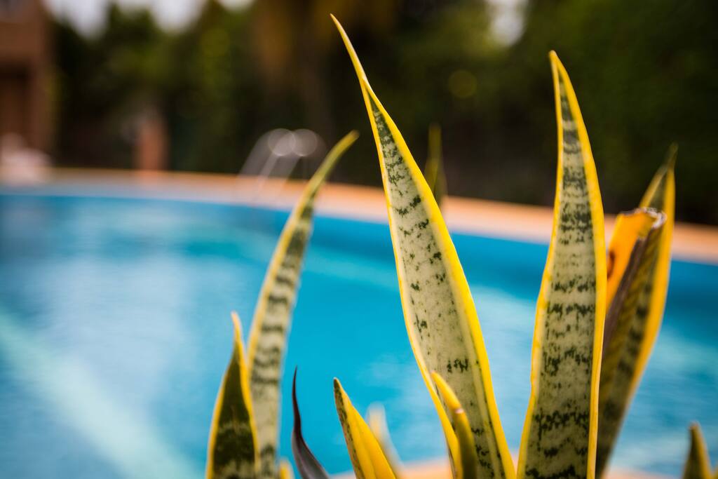 La Piscine