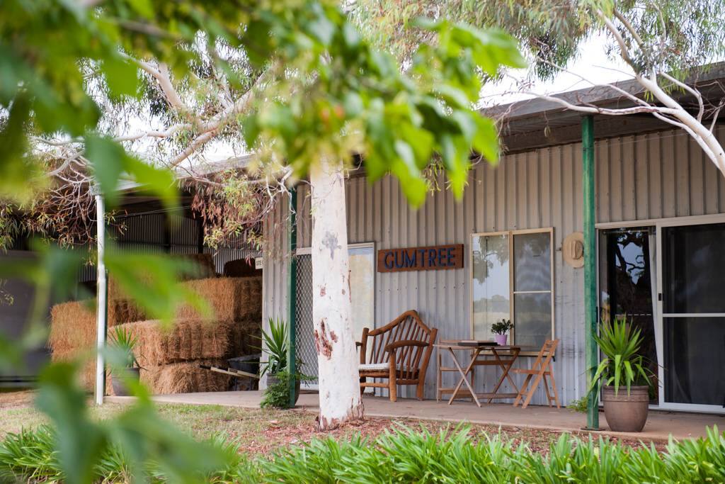 Nestled under a Gumtree - all the space you need