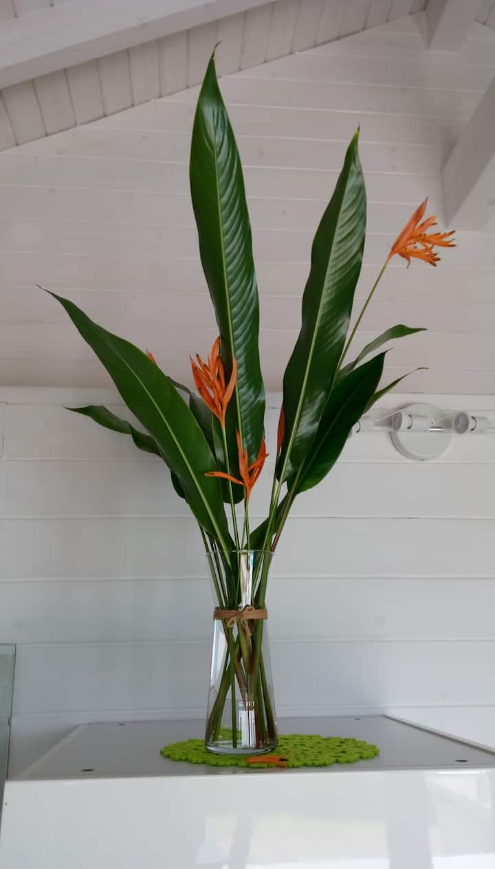 Eco Lodge 1 - Seychelles