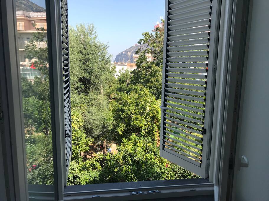 Finestra con vista agrumeto