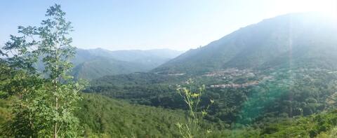 rental in the center of Corsica