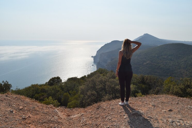 Show full-screen, host-provided image