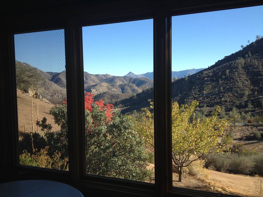 View from the bed/sitting room