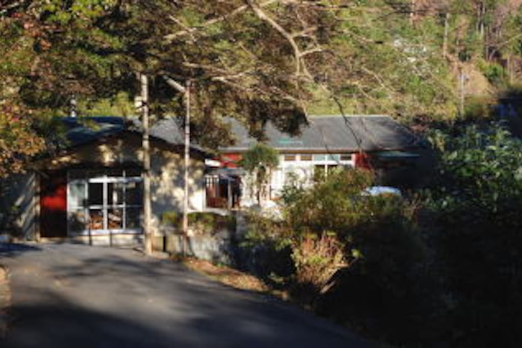 The house in winter