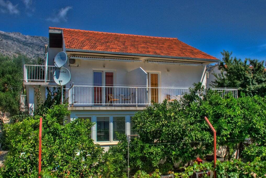 Apartments Xenia 1